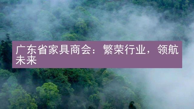 广东省家具商会：繁荣行业，领航未来